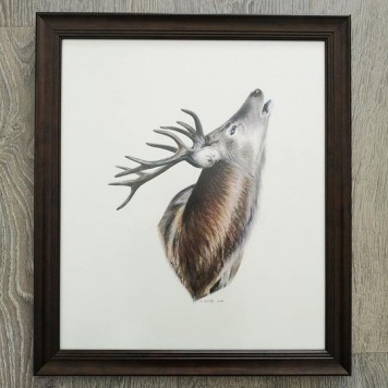 Oriģināldarbs Briedis, ierāmēts #AMG007